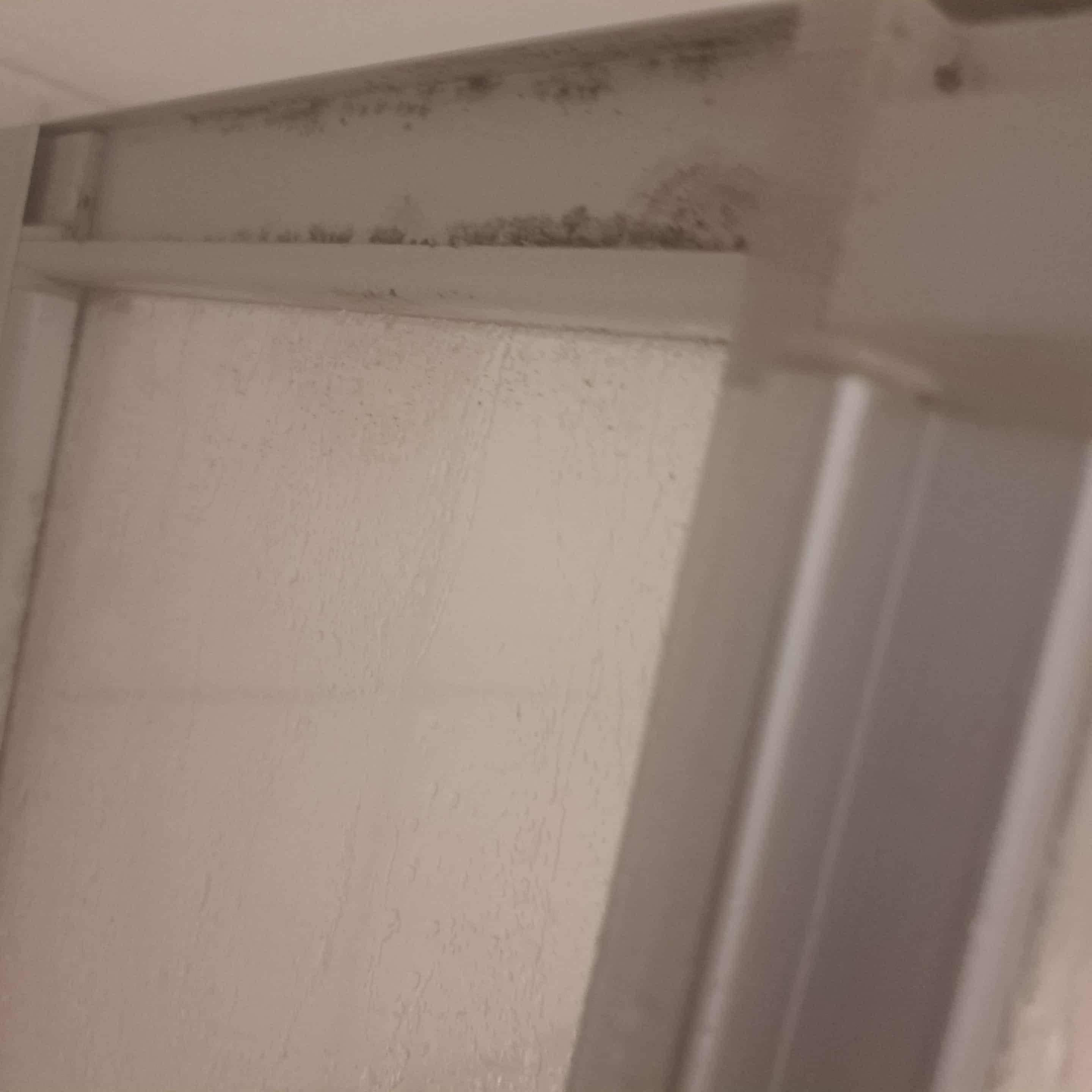 Black mold in shower