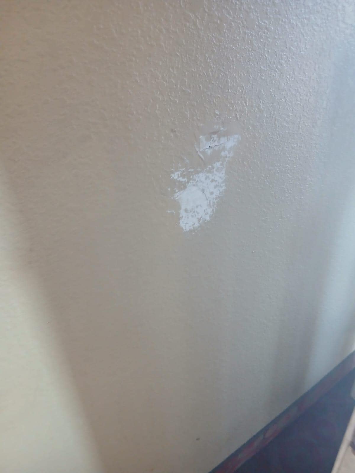 walls being patched