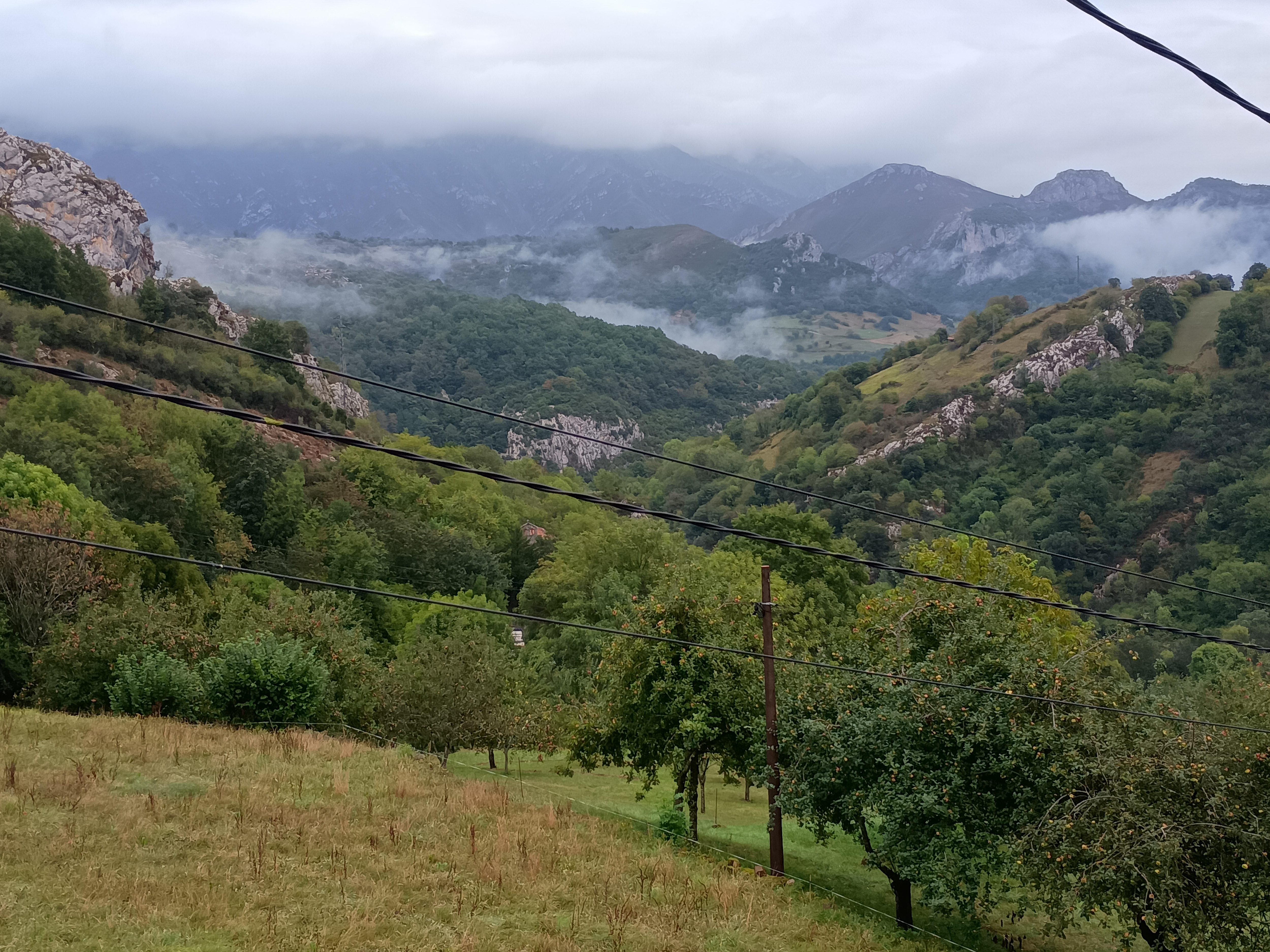 View from the balcony