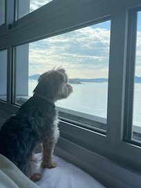 La vue invite à la contemplation