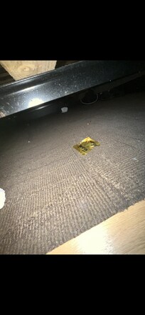 Condom