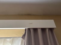 Mold