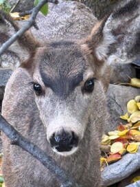 What an added treat on our vacation.