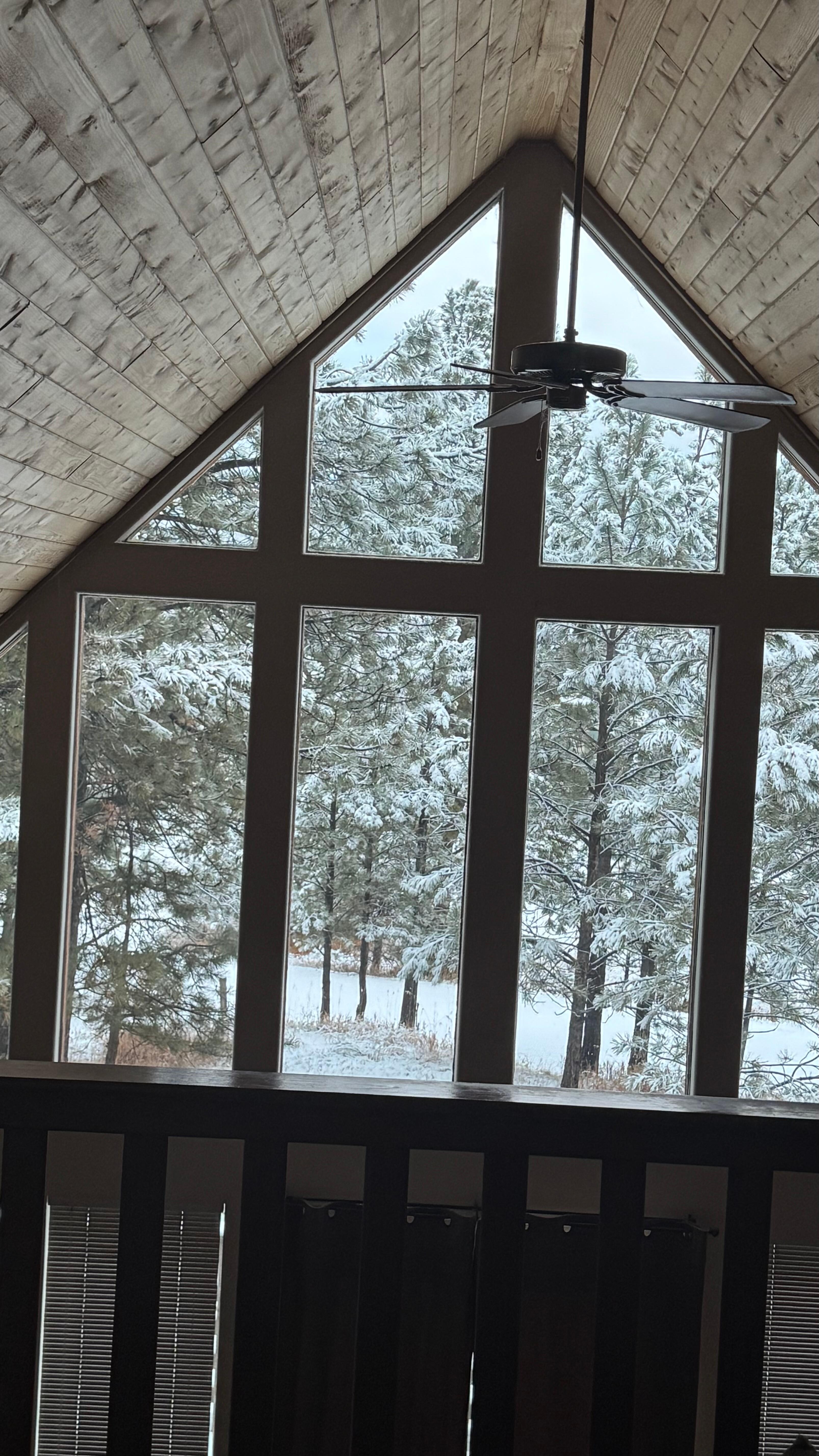 Light snow our first night of arrival and woke up to a stunning view of snow covered trees 