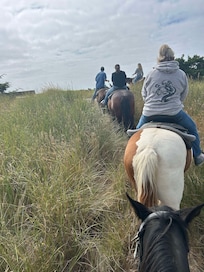 Long Beach Horse Rides