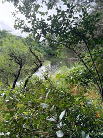 Napa River different view.