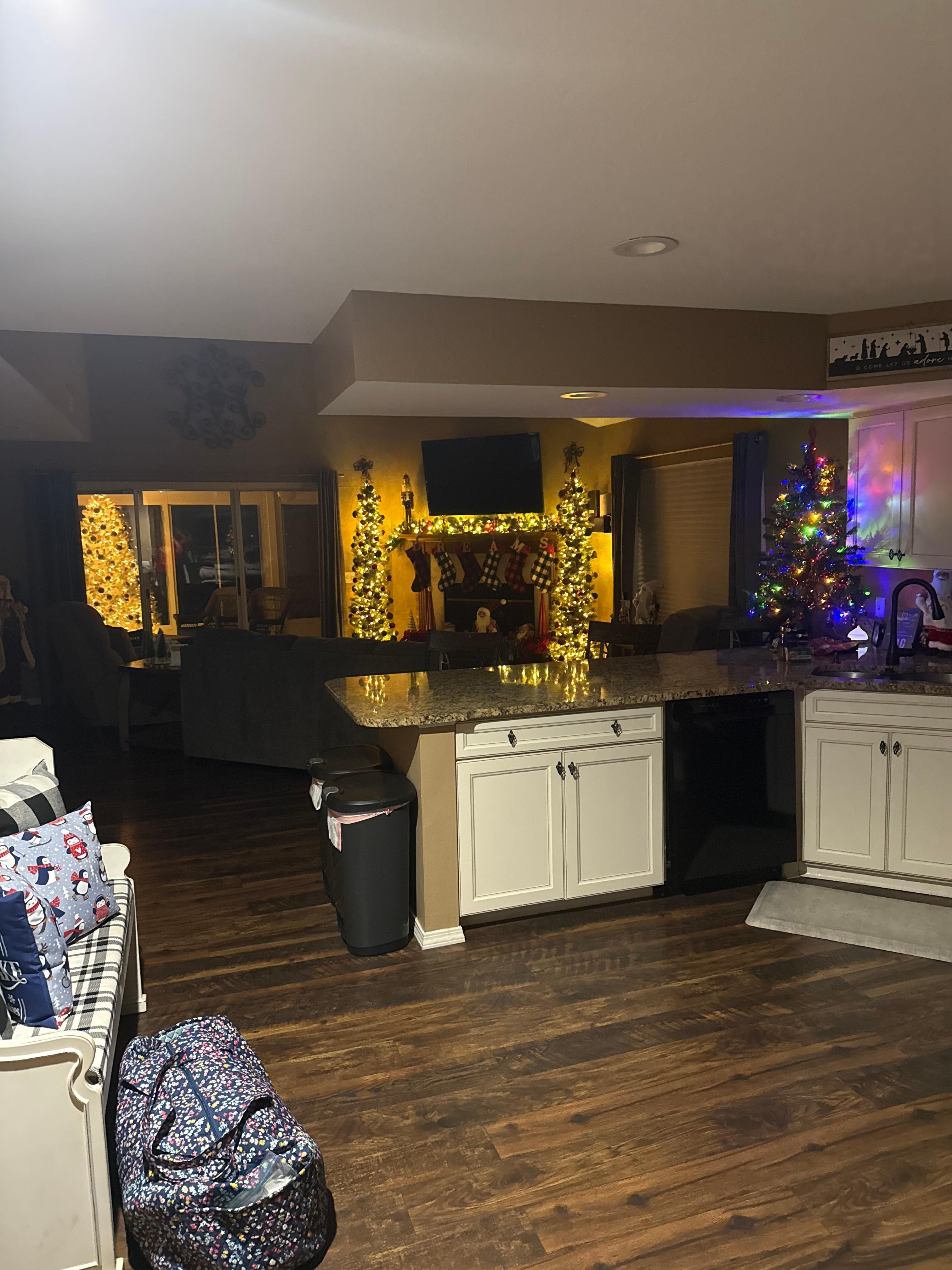 The view upon entering the condo