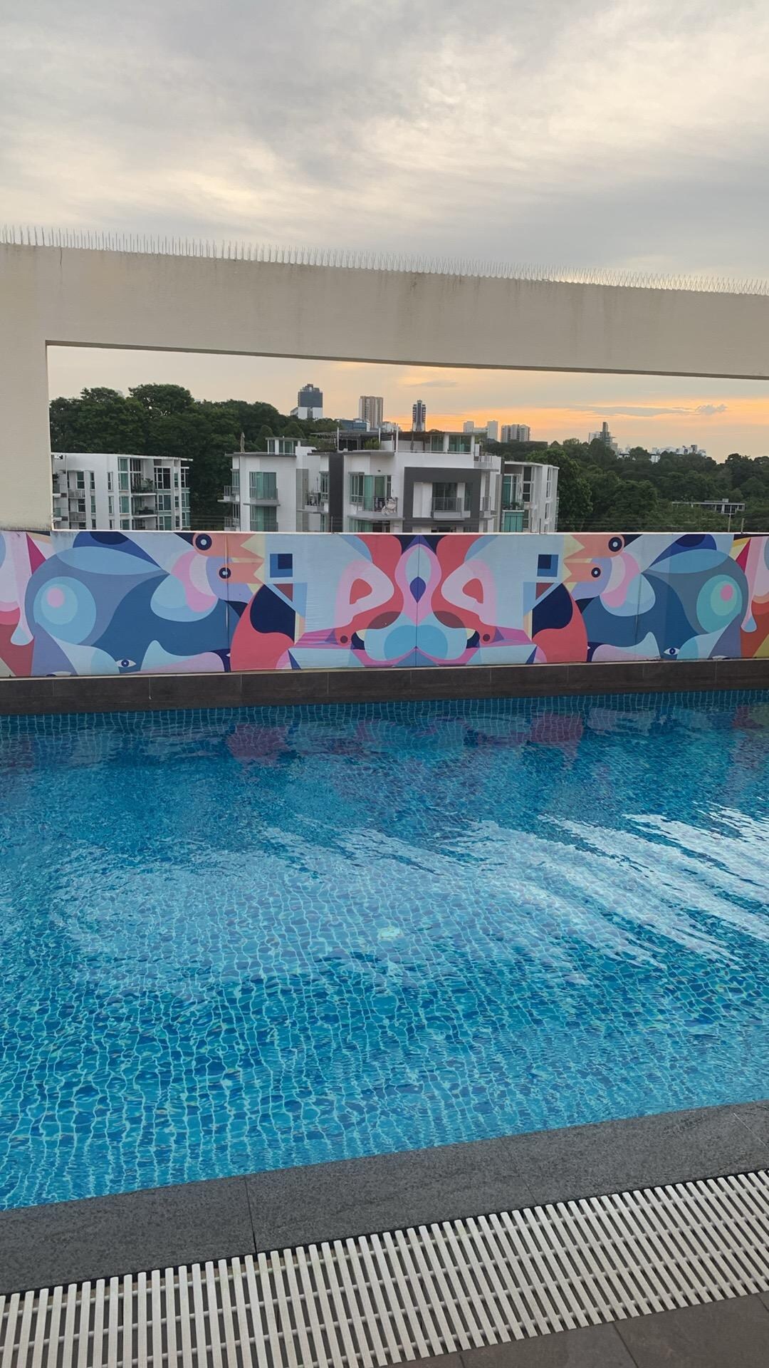 They have clean pool 