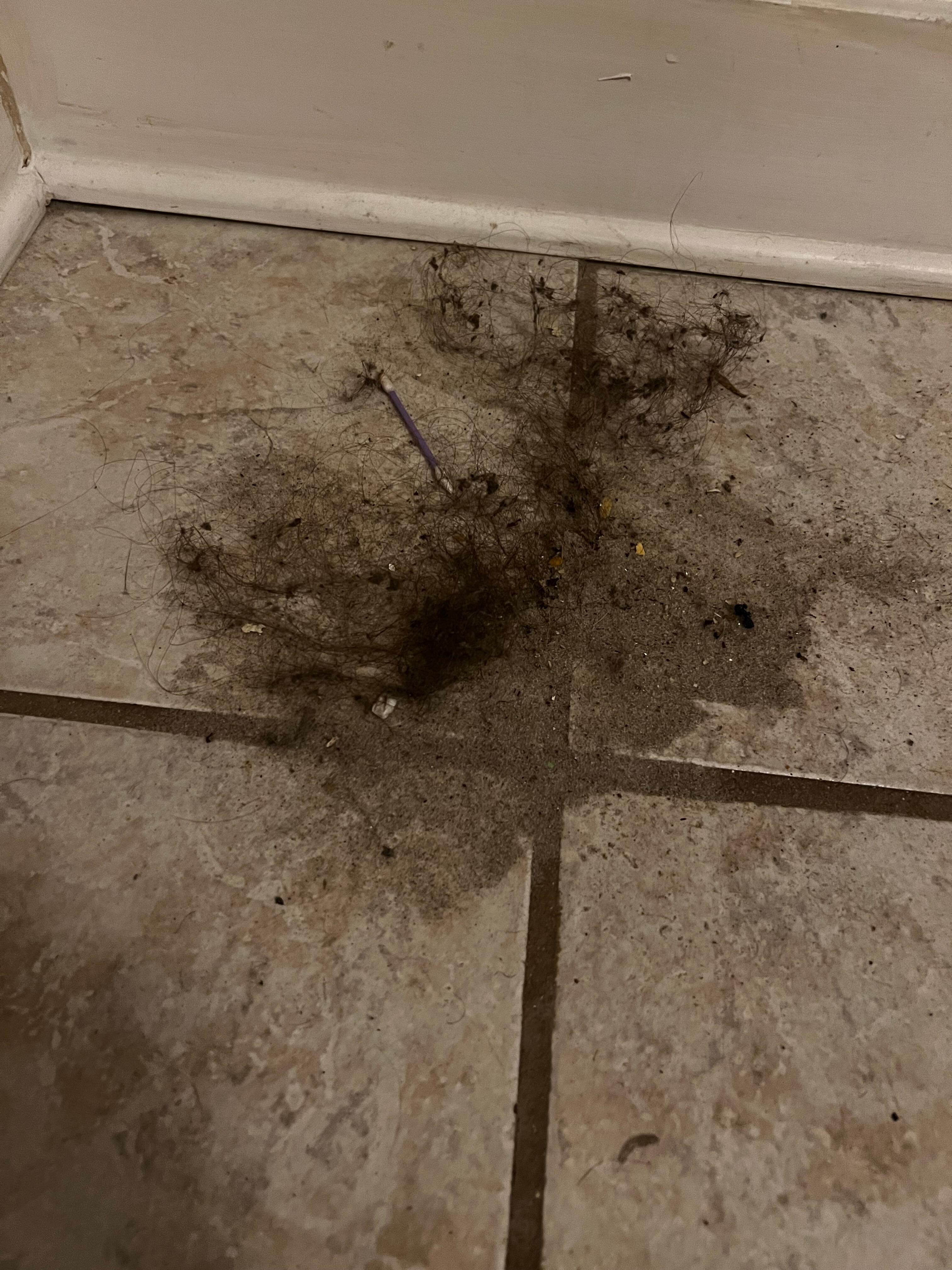 Clump of hair