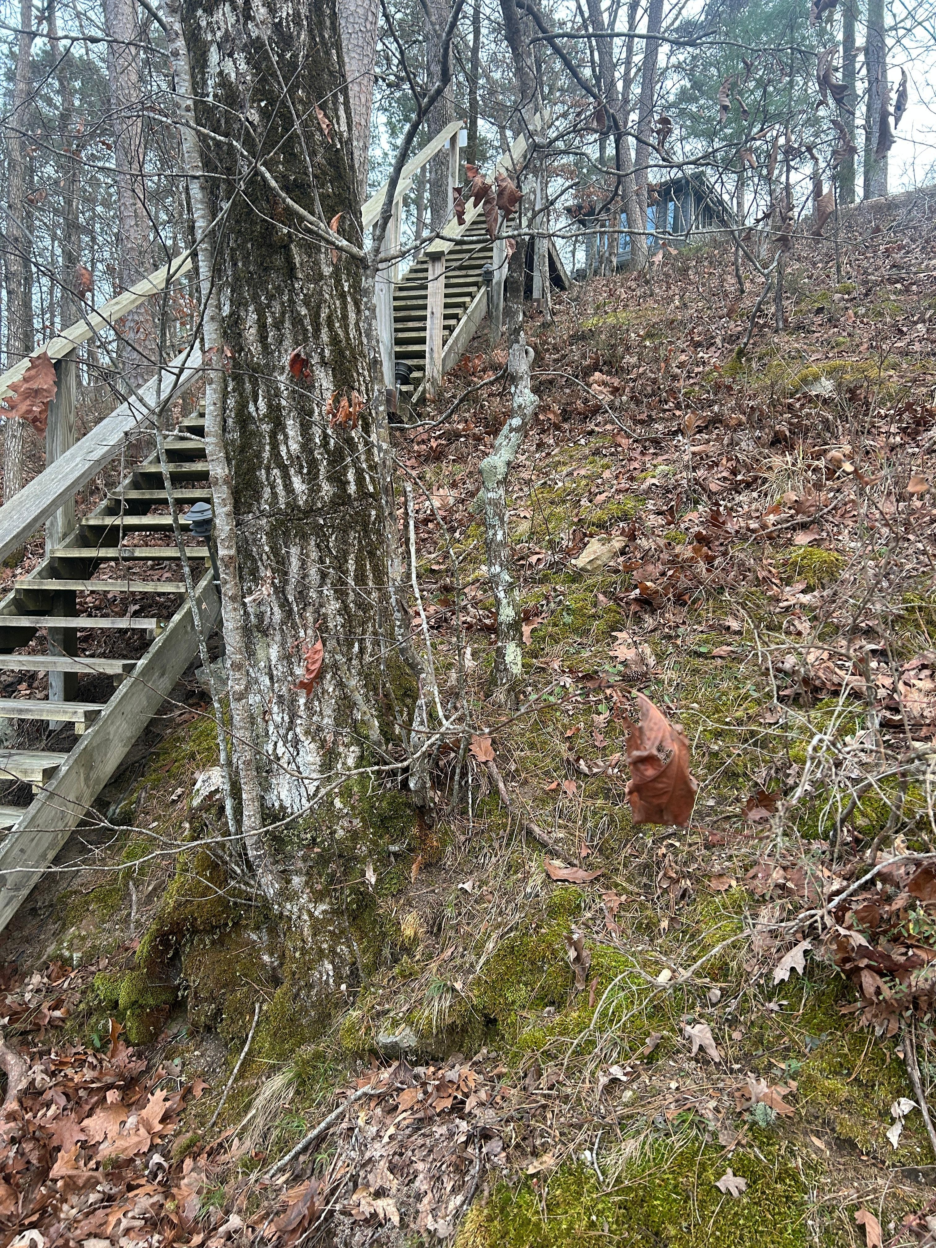 195 steps from top to bottom at River.