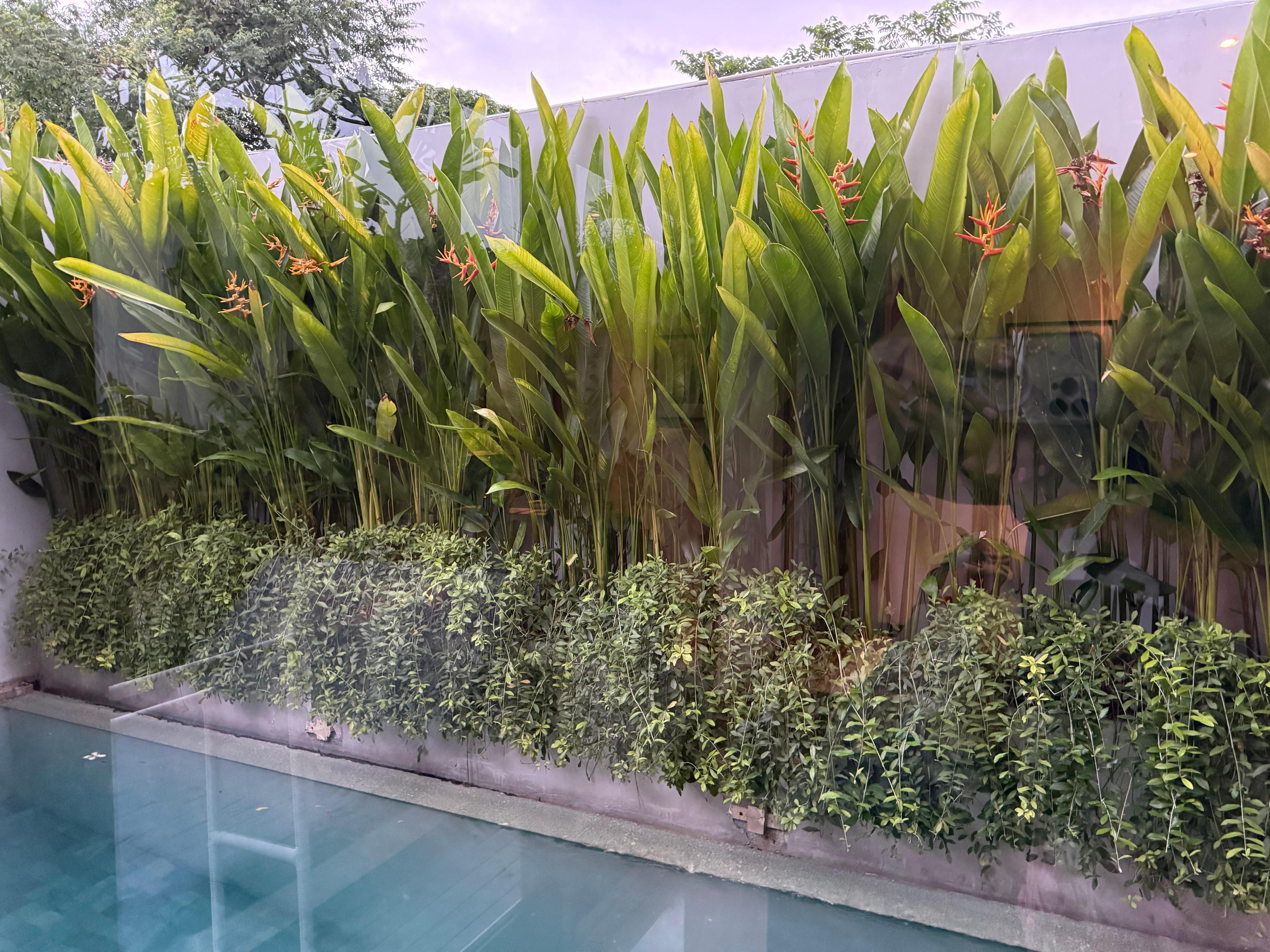 Our pool in the Villa