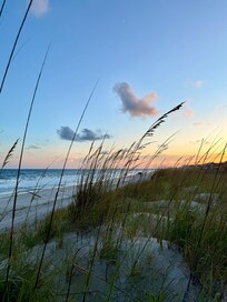 Dunes beside the beach access