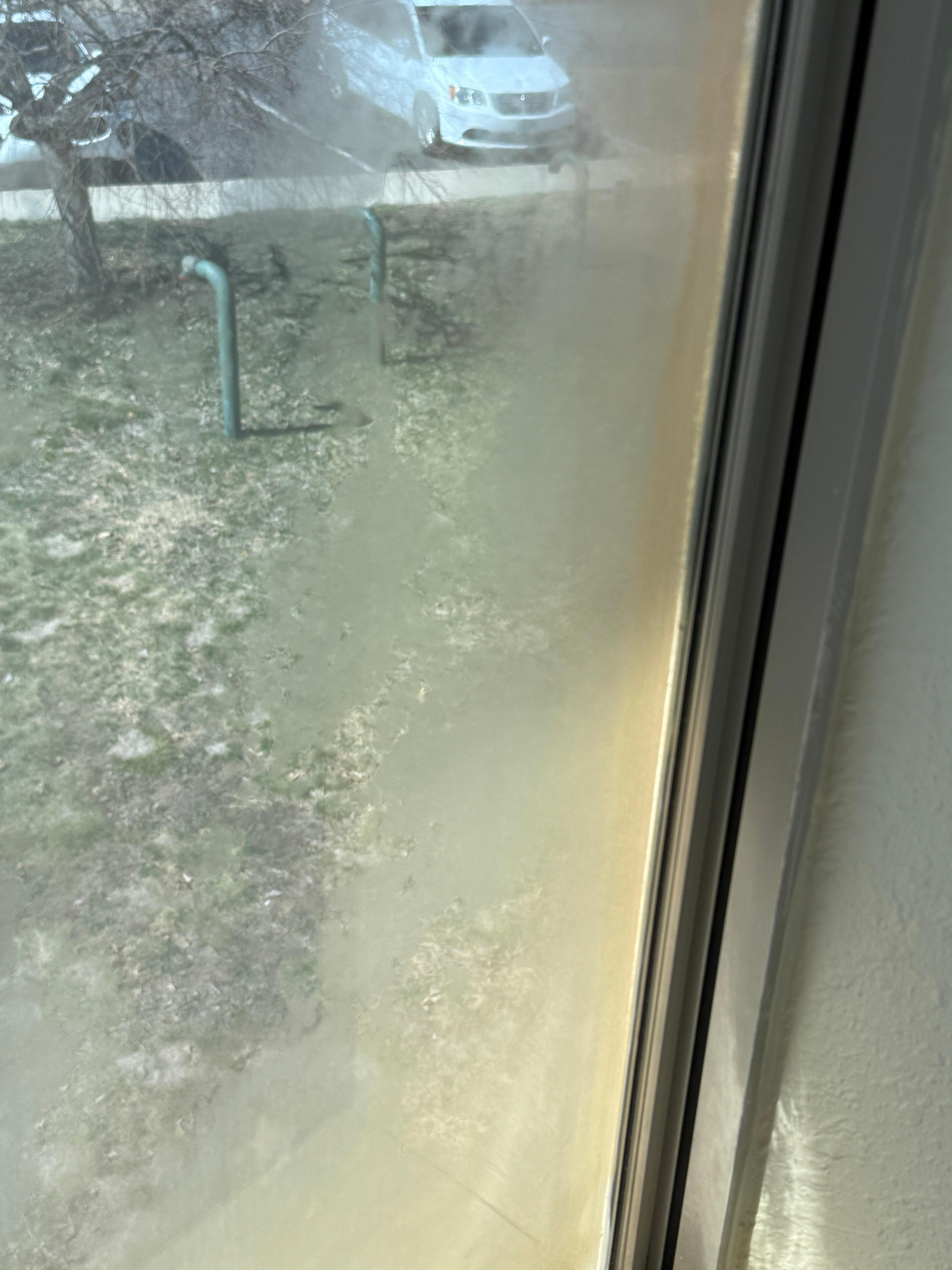 Mold on inside of window