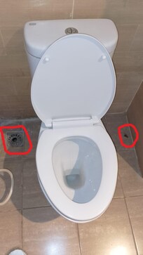 Barata e ralo aberto.