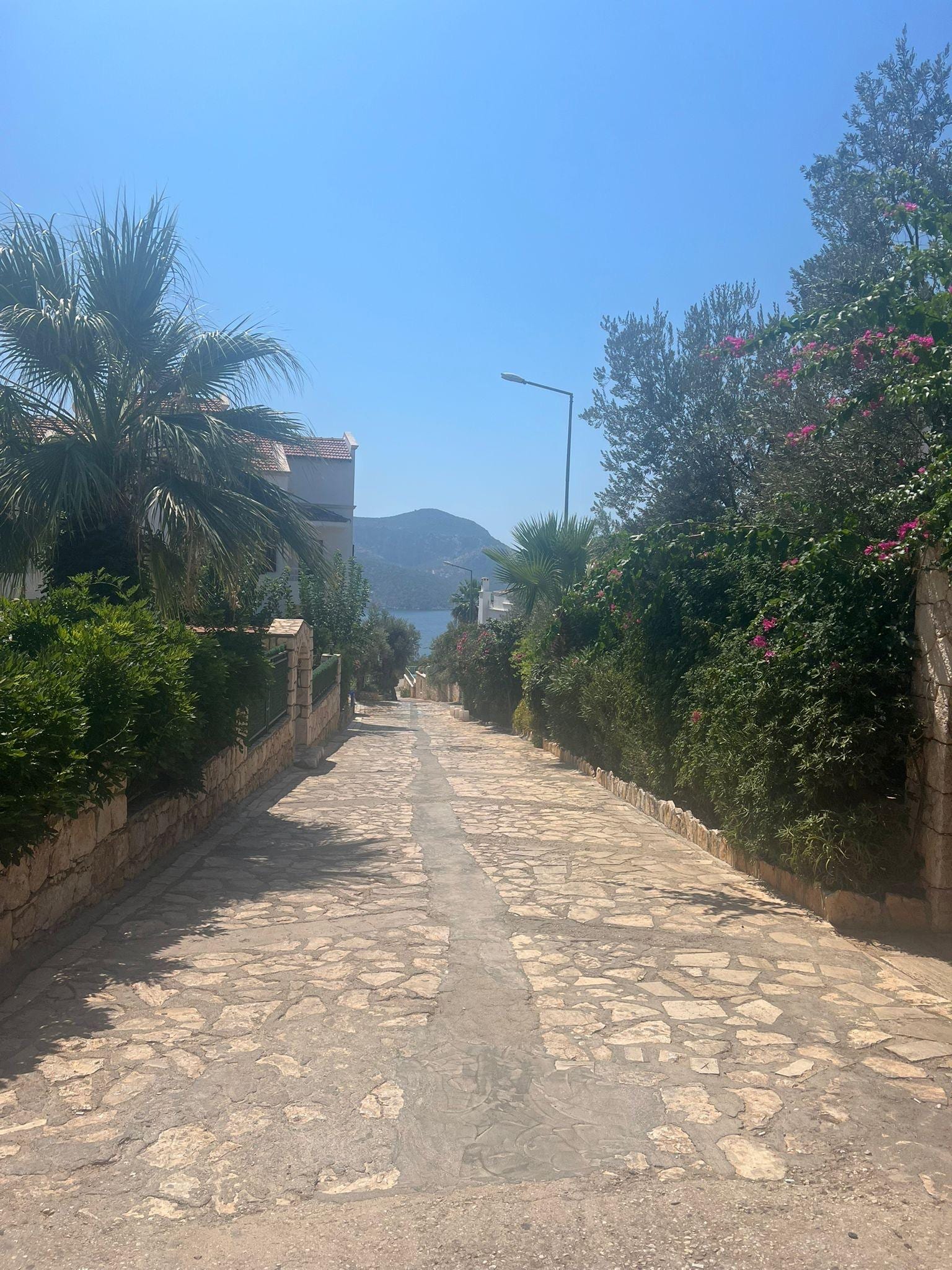 Downward hill to beach club