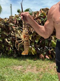 My husband went diving and caught this lobster.. we had it for dinner that night..