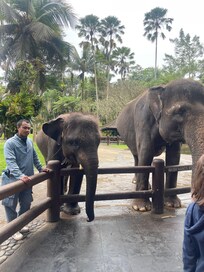 I was excited to see the baby who gave me a hug with its trunk.