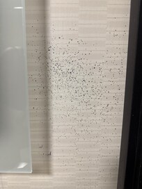 Black mold in bathroom
