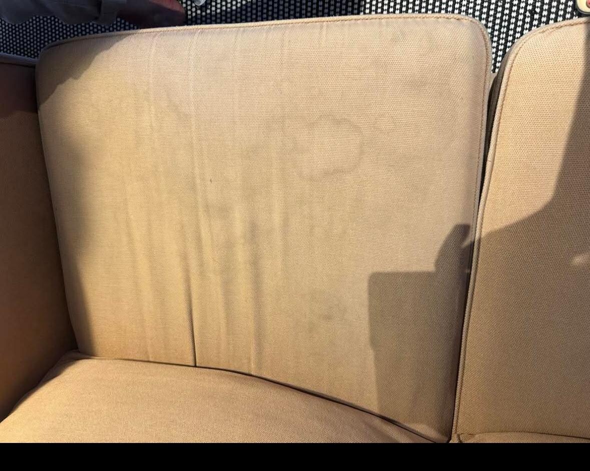 Possibly dog stains