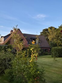 Achtertuin