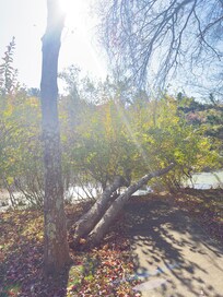 Sidewalk to nowhere :)