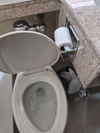 Toilet seat