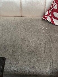 The couch in the breakfast area