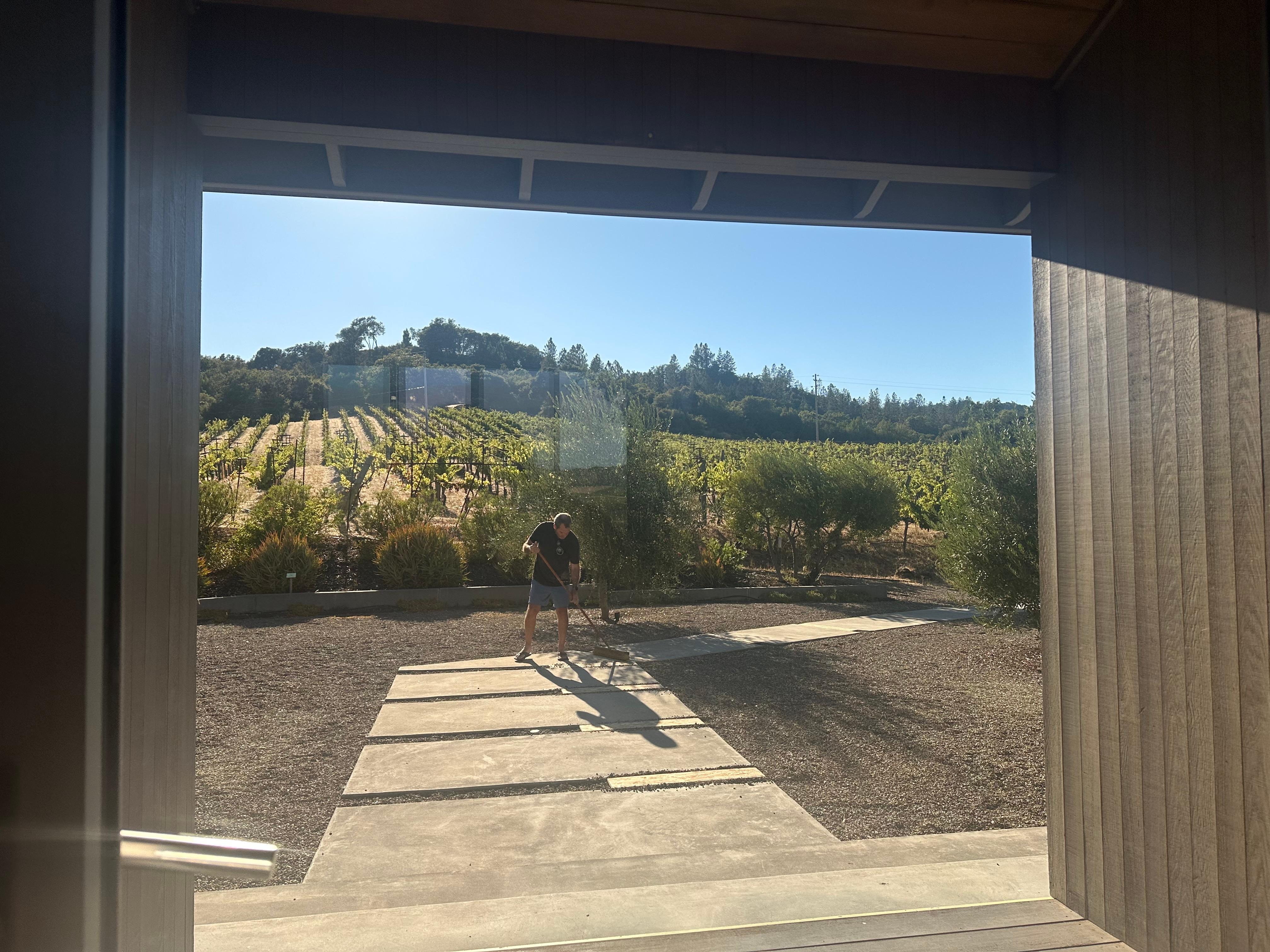 Front walkway near some of the farm’s vines