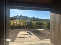 Front walkway near some of the farm’s vines