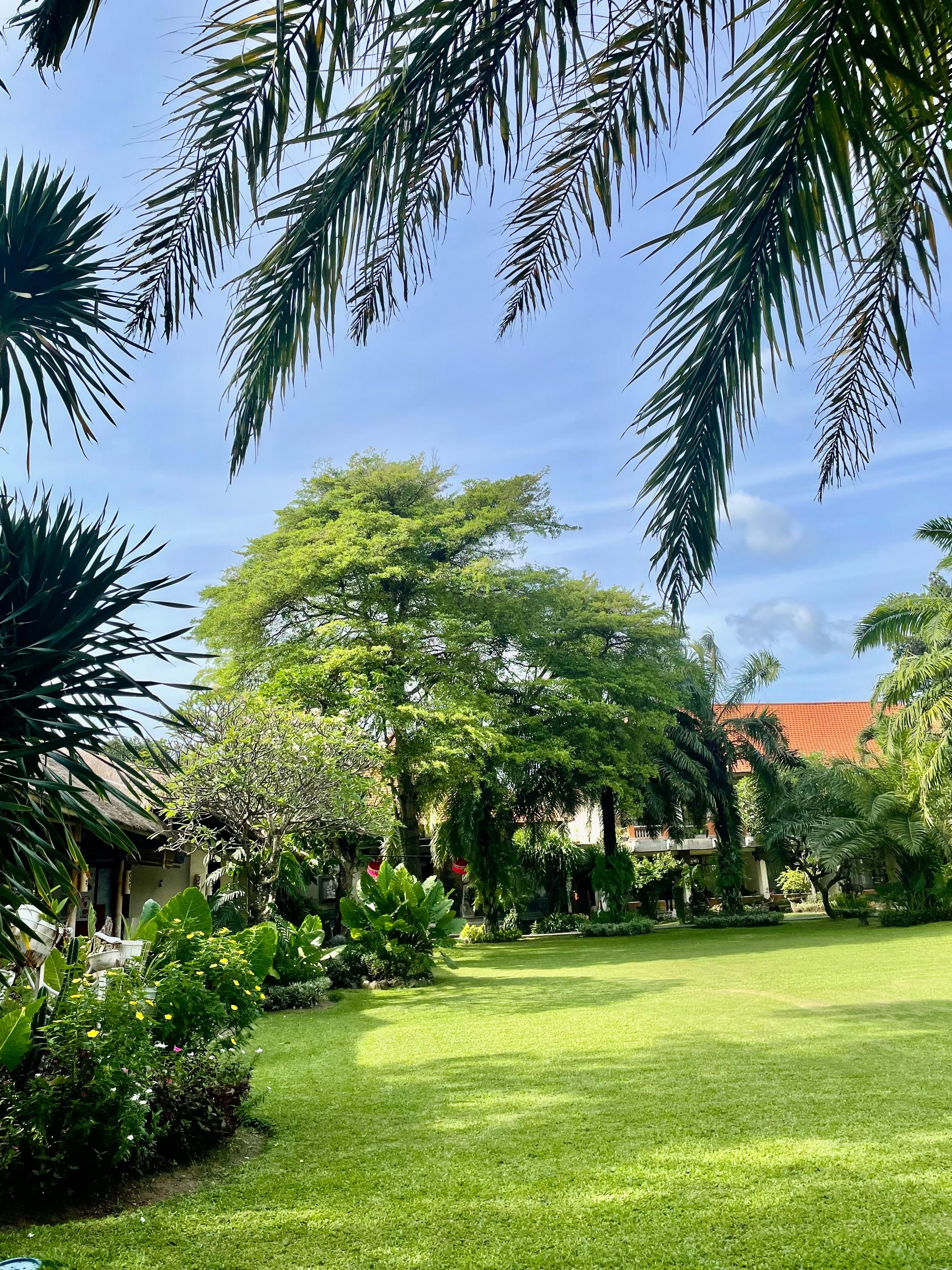 The beautiful garden 