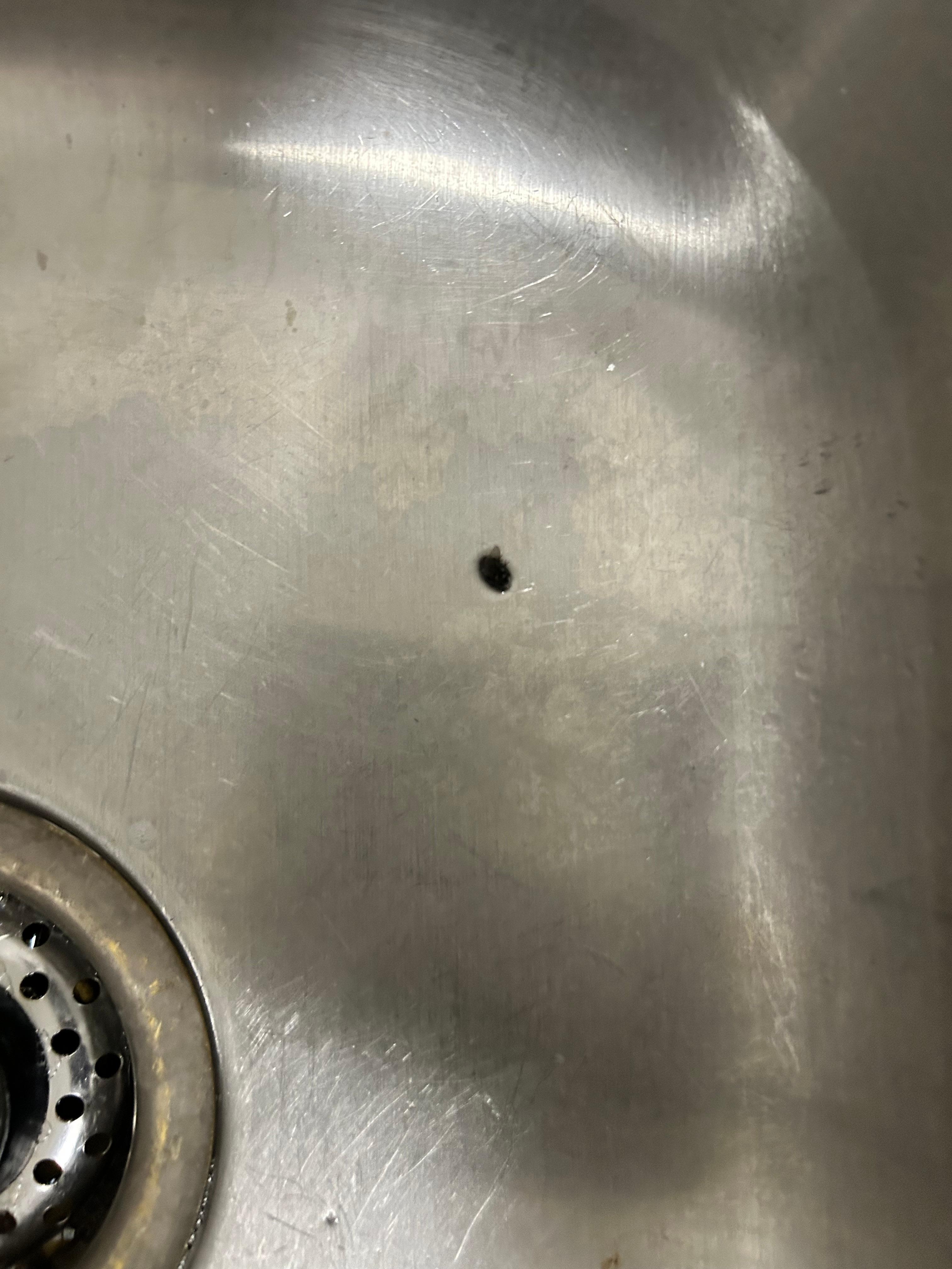 Dead fly in the kitchen sick.