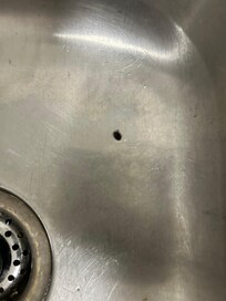 Dead fly in the kitchen sick.