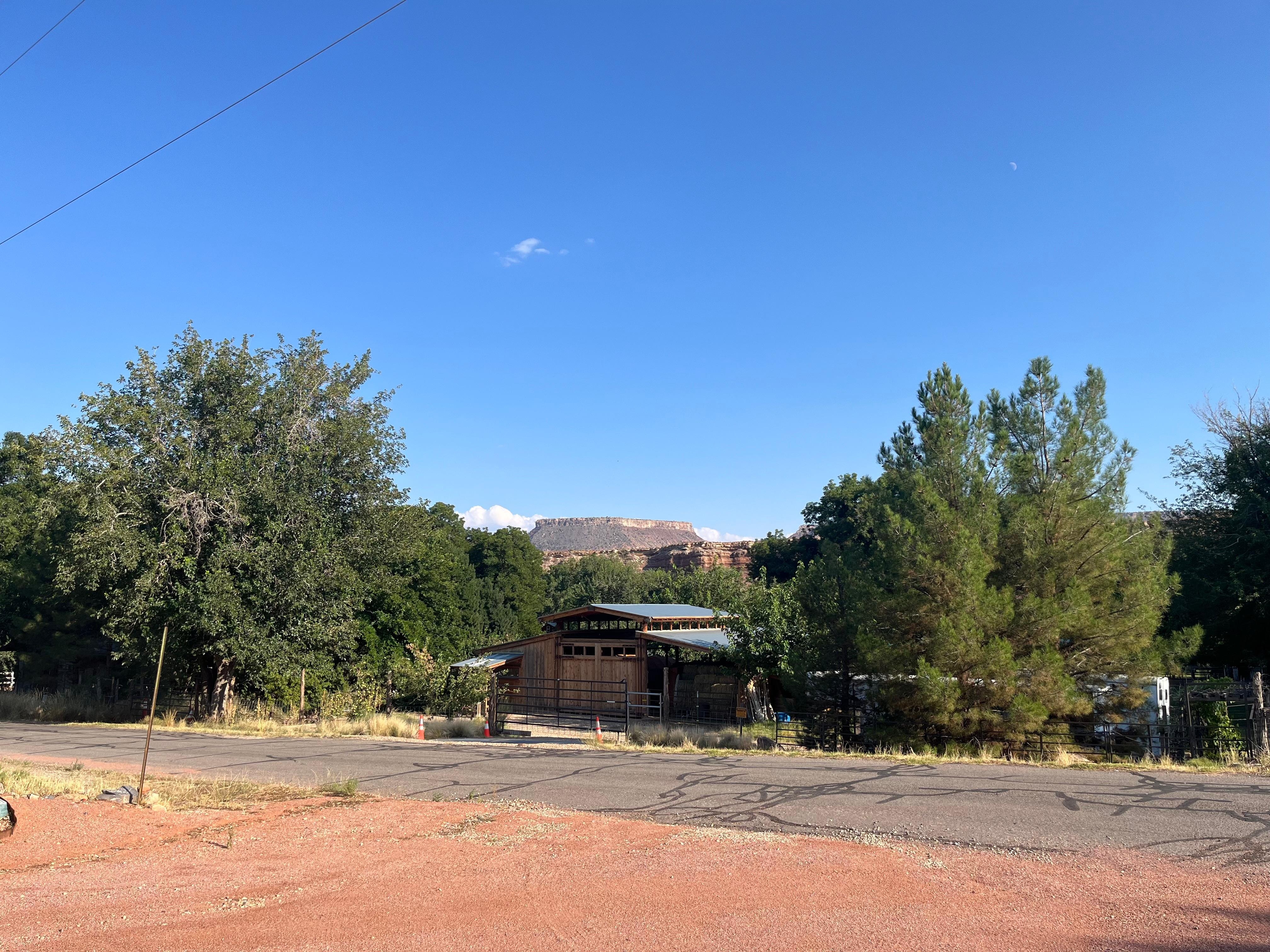  View from the front porch