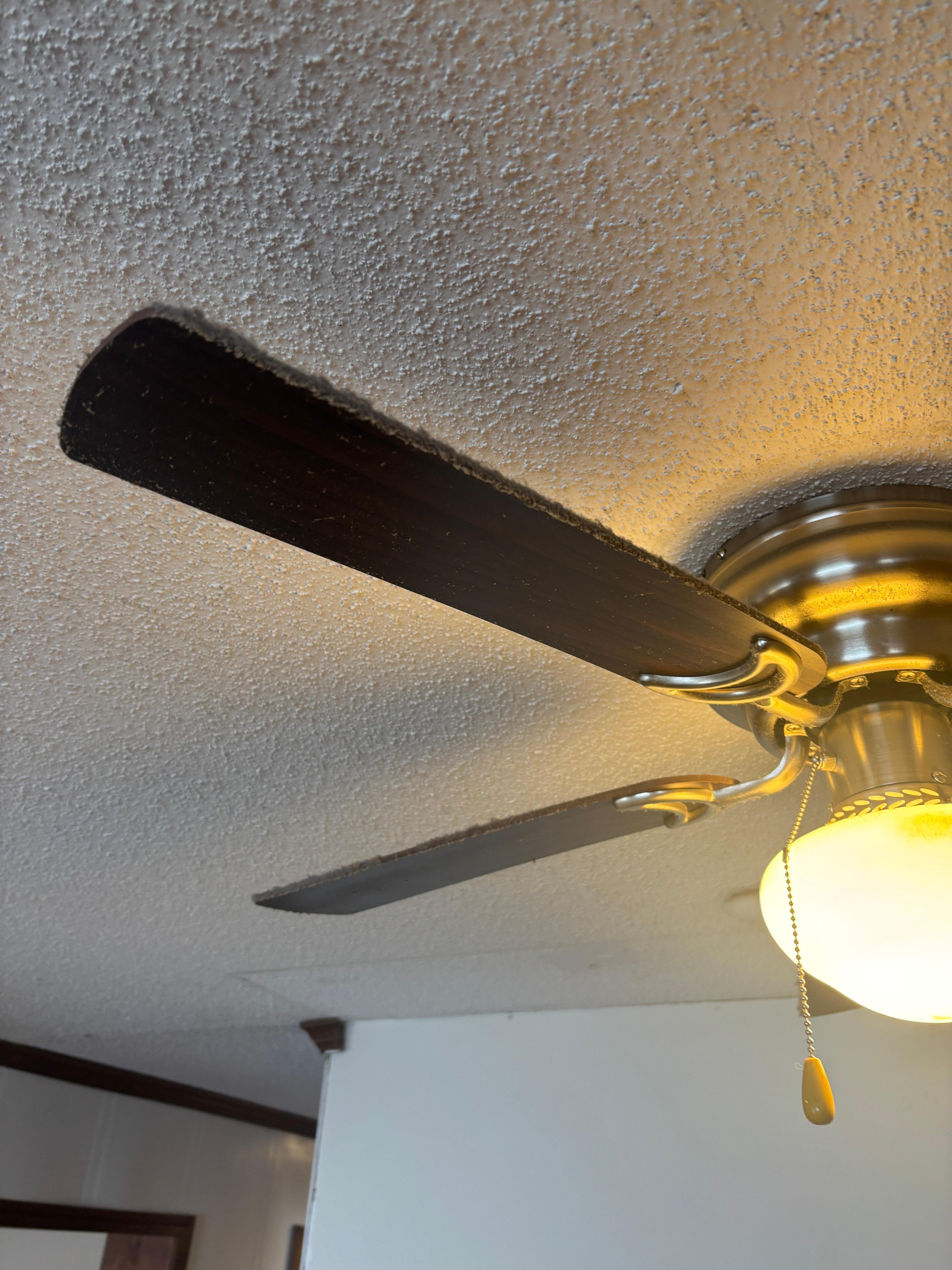 Dust on kitchen ceiling fan 