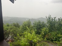 Over growth inhibiting view time for a trim!.