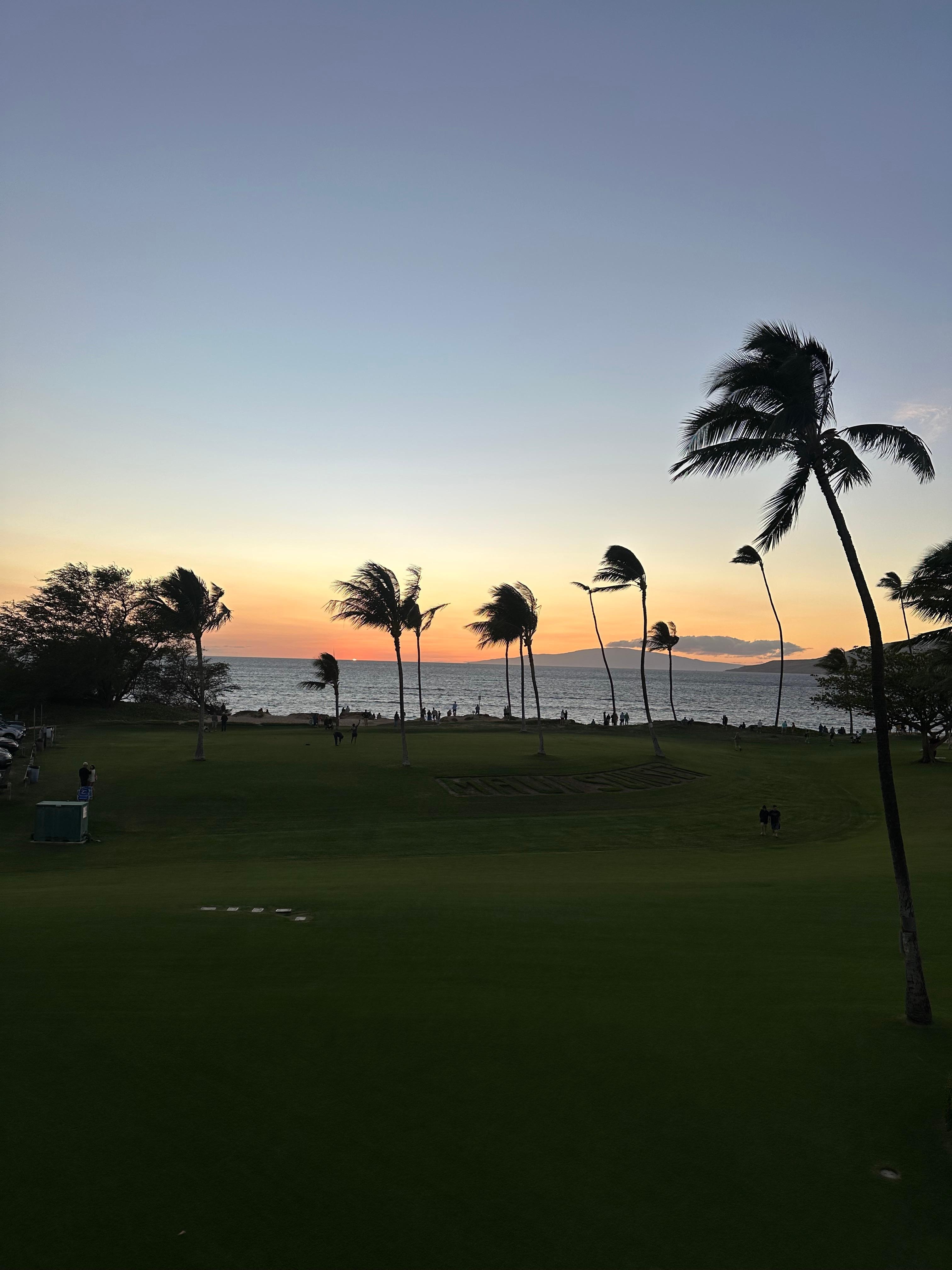 Balcony view at sunset.