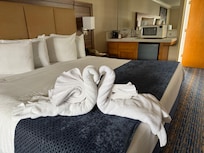 Towel swans were a sweet surprise!
