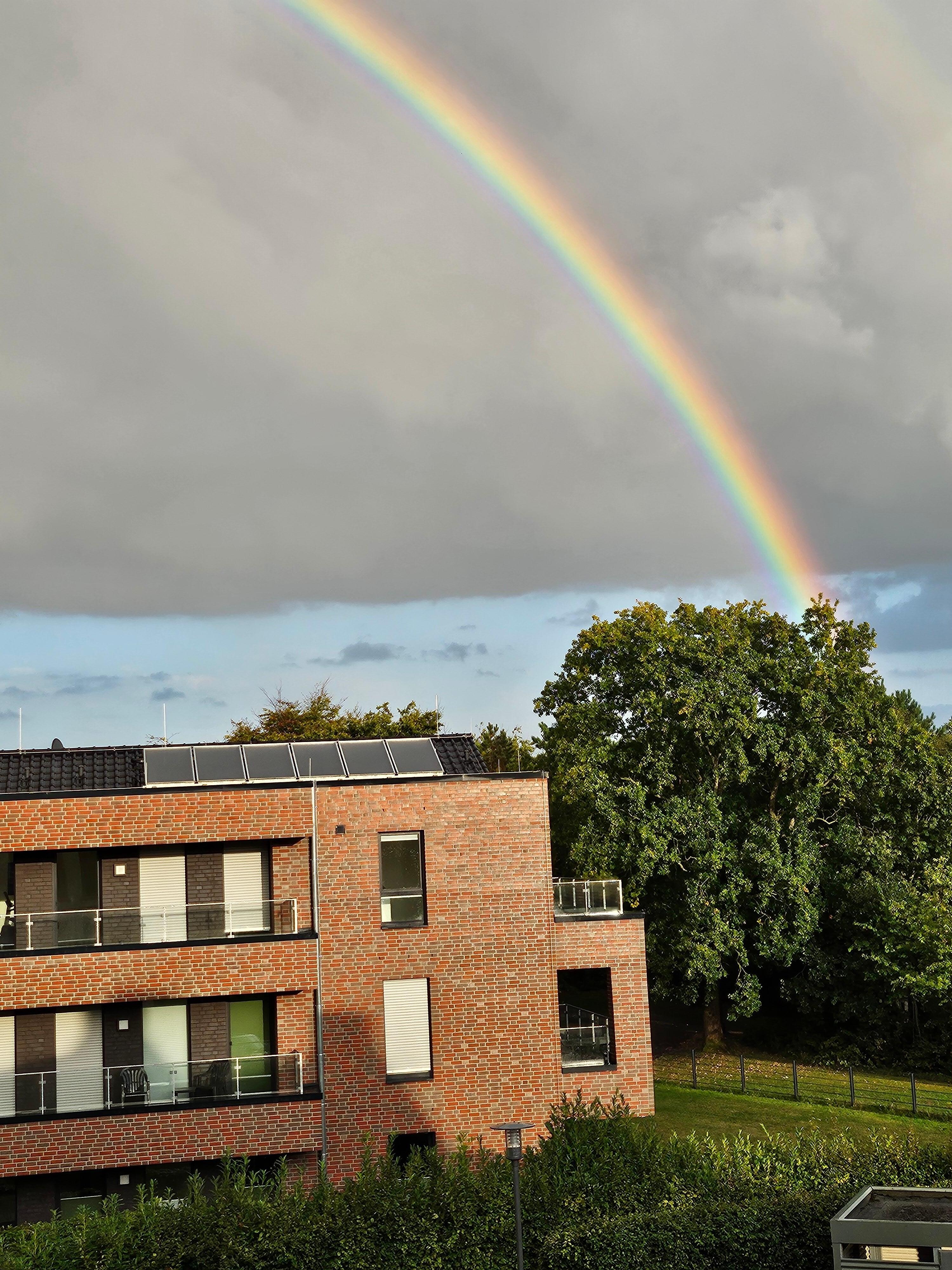 Doppelregenbogen nach einem Schauer
