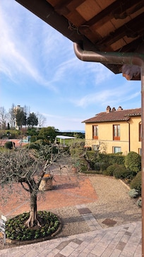 The view from my room