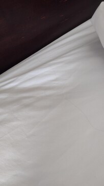 Bedsheets not changed. Someone's long dark hair not ours my husband Bald and my hair is curly short gray