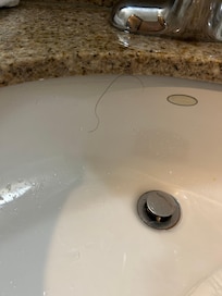 Hair in sink, not ours.