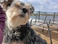 Ah, lake life!