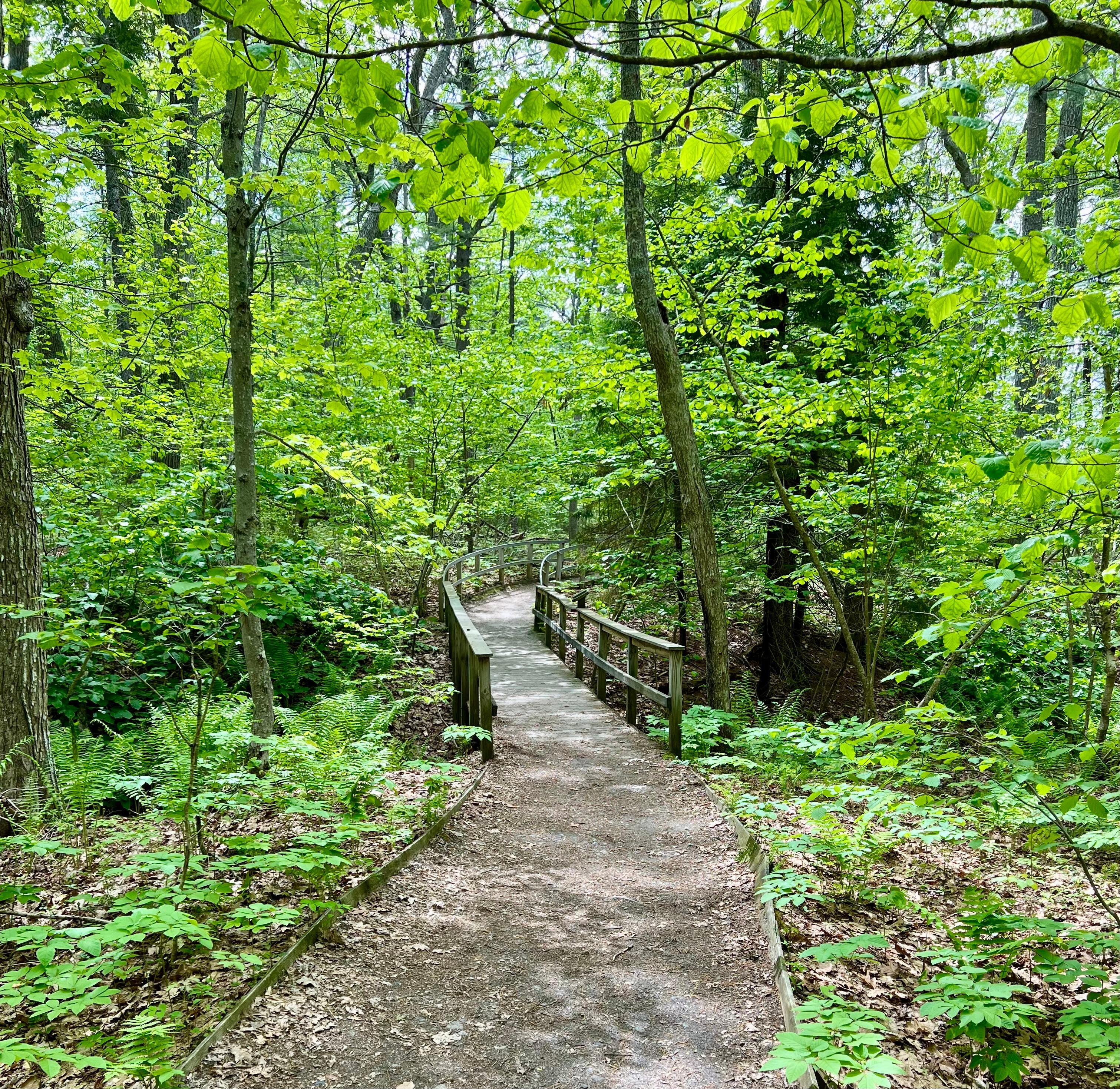 Rachel Carson Wild life refuge nearby walk
