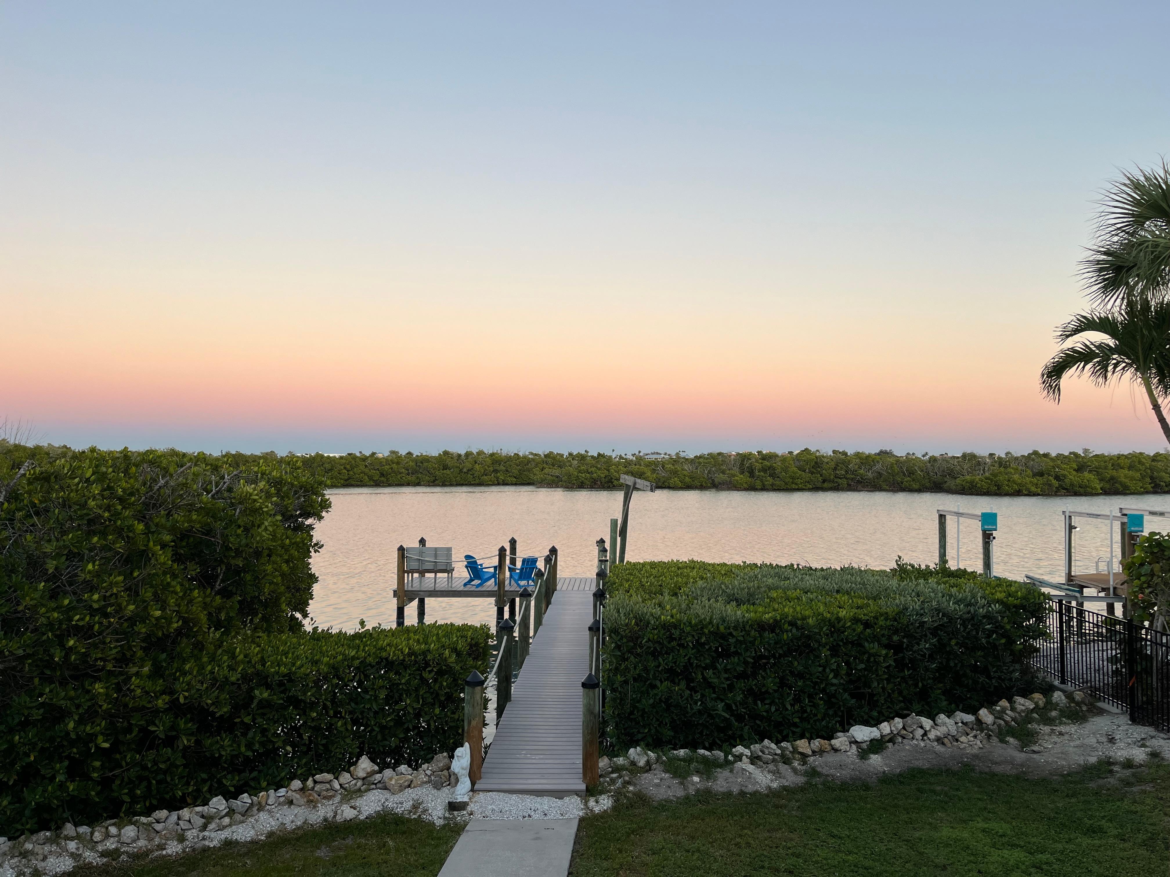 View from the back door at sunrise. 