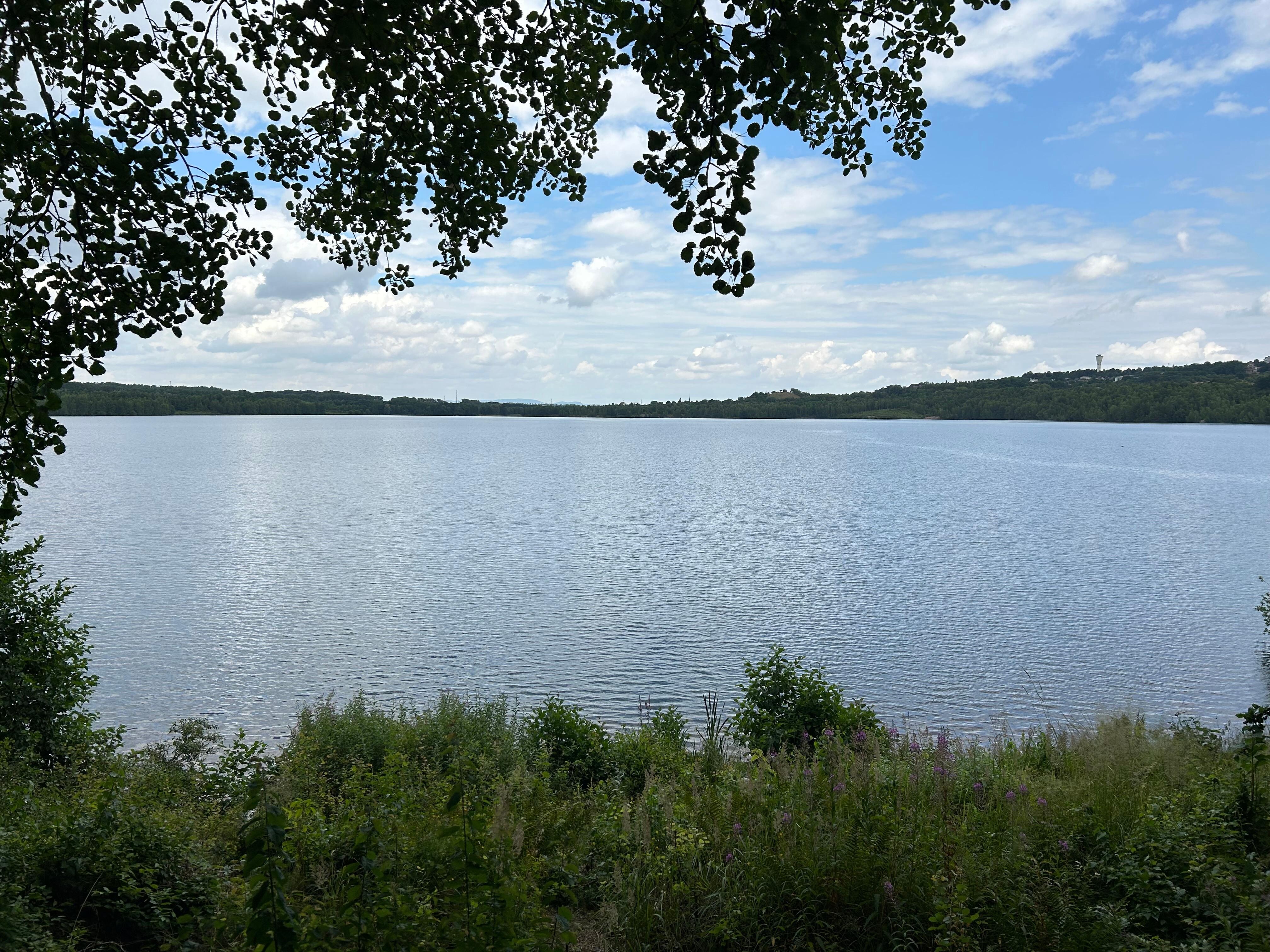...ein Besuch am Borkener See...