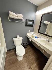 Lots of counter space in bathroom.