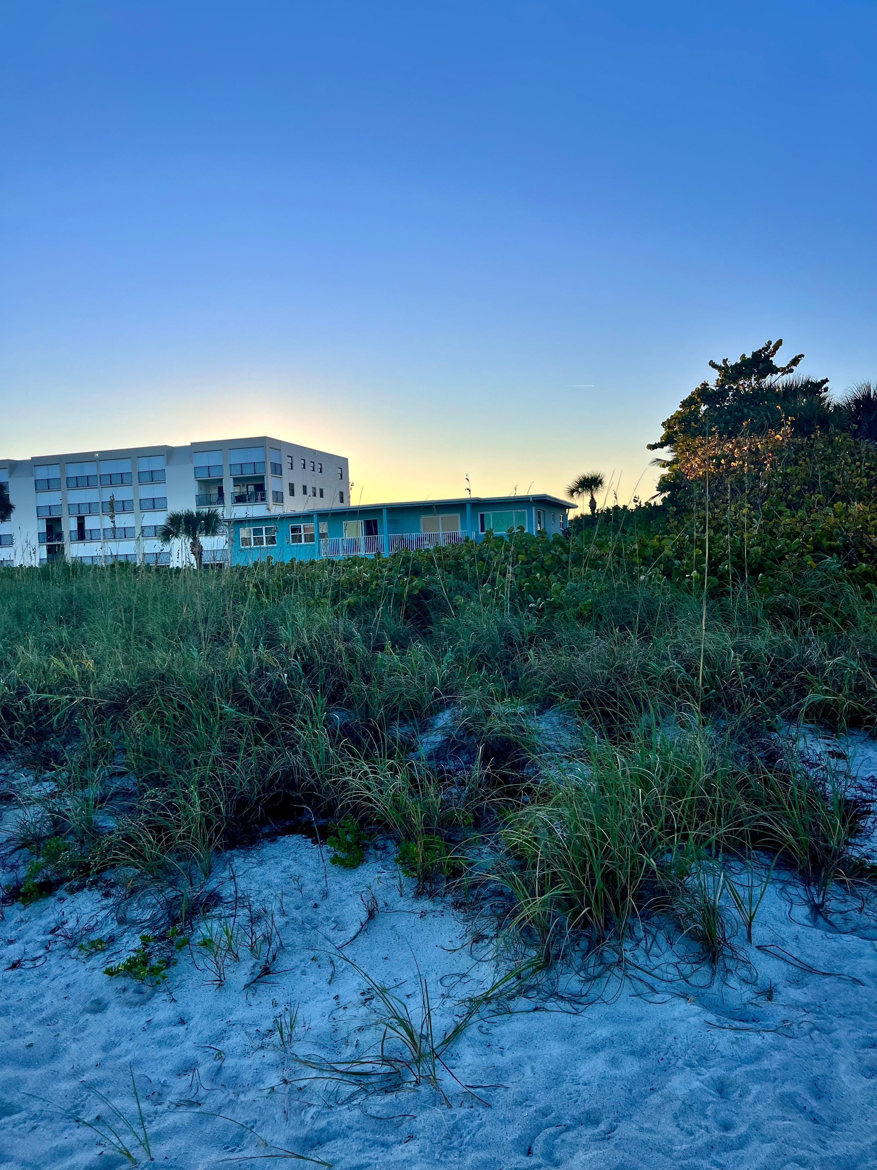 Condo is teal building but the room is on the other end