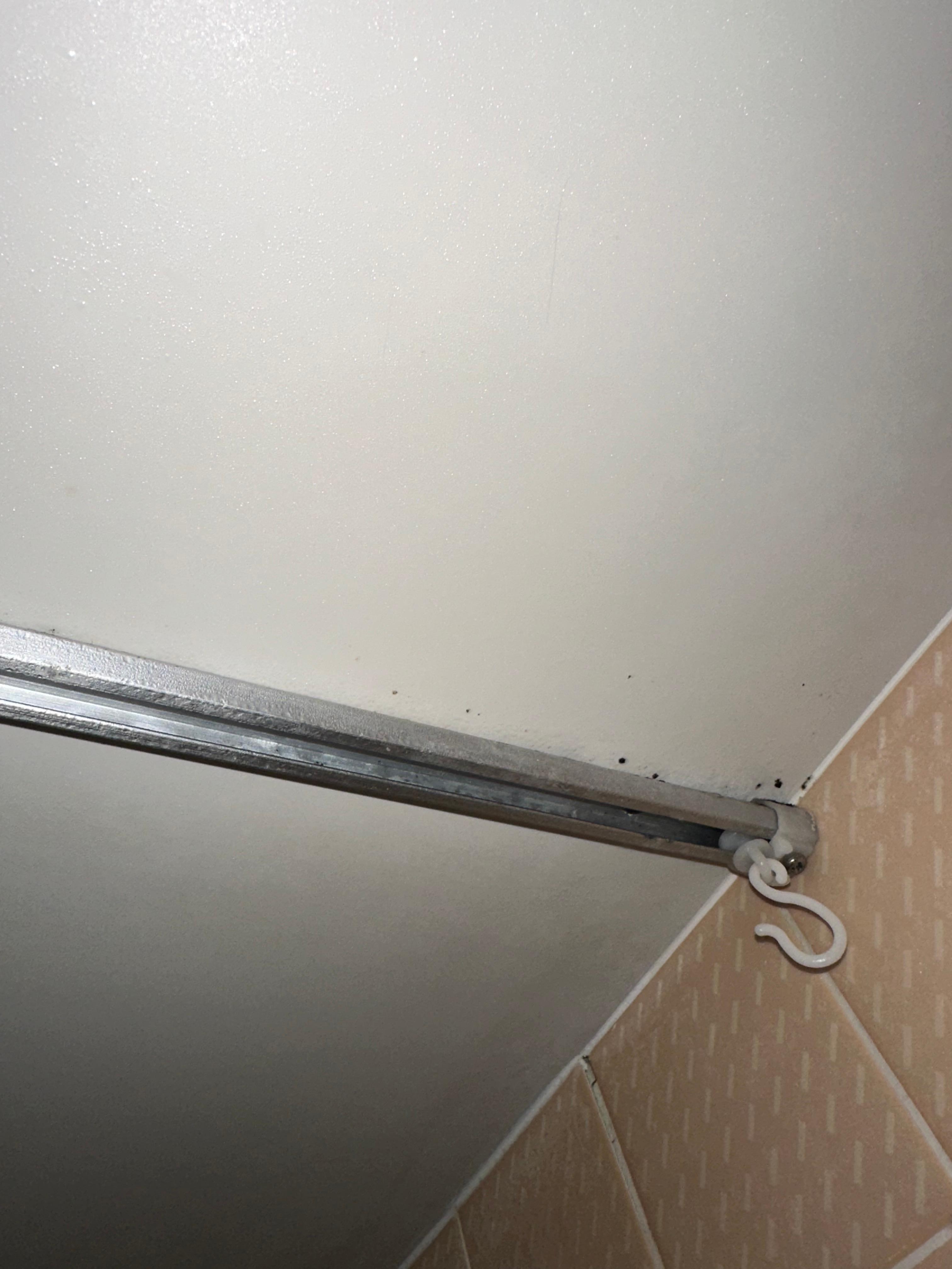 Mold by shower curtain