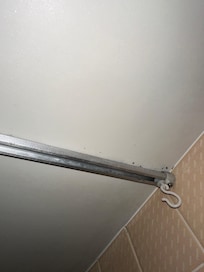 Mold by shower curtain