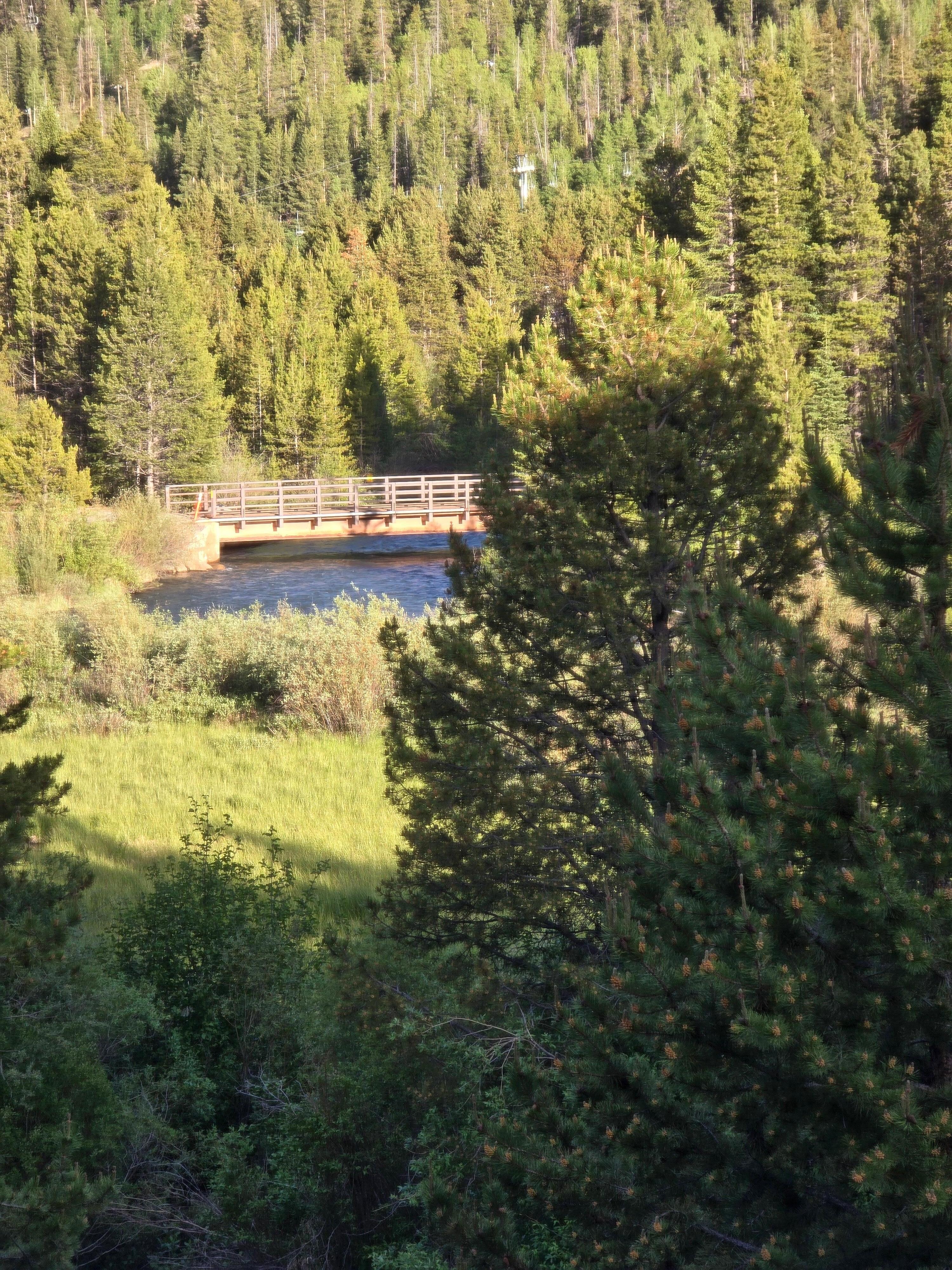 View from the master bedroom